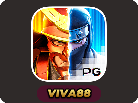 Ninja vs Samurai