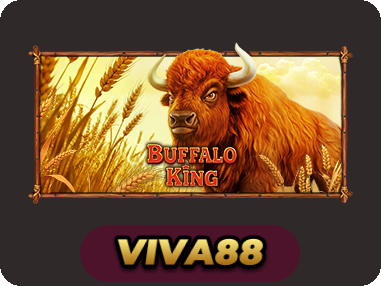 Buffalo King