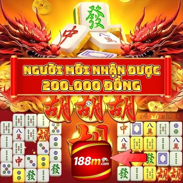 188M Slot Chống Gãy Cầu Việt Nam